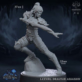 Lathri Dralfar Assassin 3D-printed model